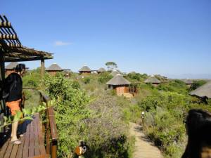 Game reserve South Africa